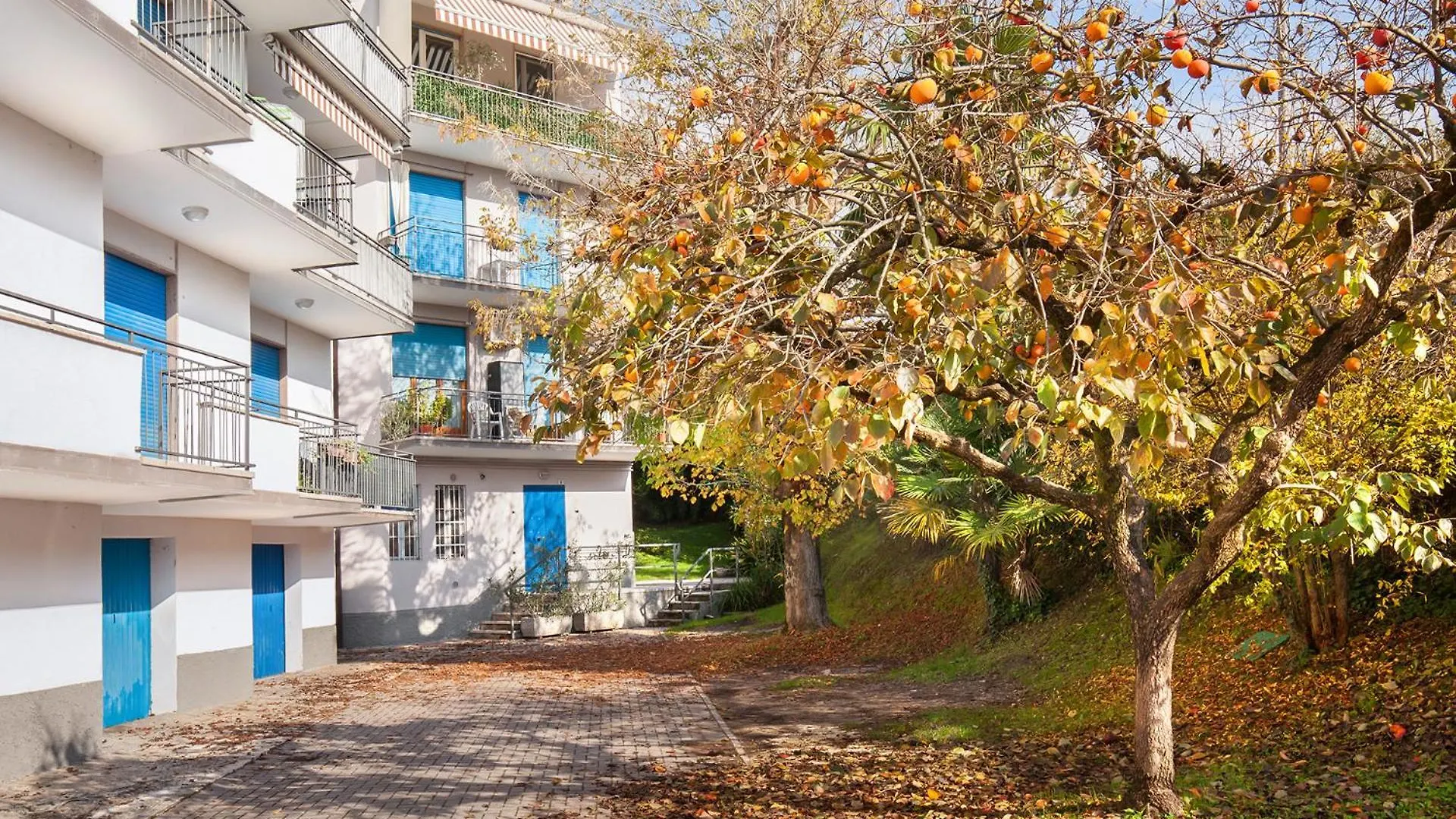 Casa Marli Διαμέρισμα Λατζίζε
